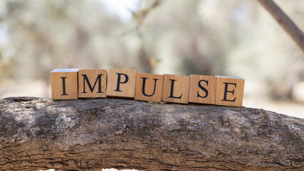 The word impulse was created from wooden cubes.