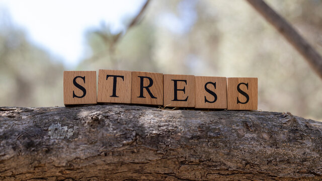 The word stress was created from wooden cubes. Taken outside on a tree branch.