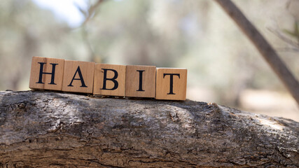 The word Habit was created from wooden cubes.