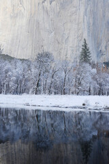 Yosemite Winter