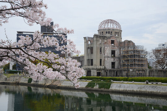 Hiroshima Sakura