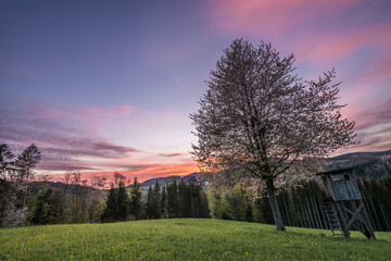 Landschaft und Sonnenuntergang mit Baum und Jagd Hochsitz im Frühling auf Wiese Feld Acker und Berge im Bayerischer Wald, Deutschland