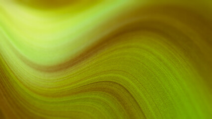 Obraz premium art background beautiful design style