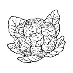 Cauliflower Line Art Logo Vegetable Vege Vegan Health Healthy Food  