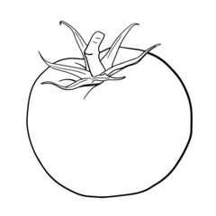 Tomato  Line Art Logo Vegetable Vege Vegan Health Healthy Food  
