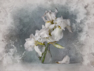 Still life with white iris flowers in vase on gray background, for wall posters