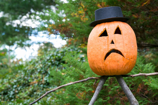 Carved Halloween pumpkins with scary faces, New York City.