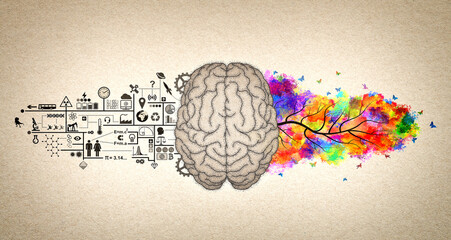 Brain Functions - Left Brain and Right Brain Conceptual Illustration - obrazy, fototapety, plakaty