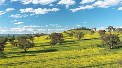 beautiful nature of australia