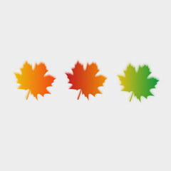 set of autumn leaves. Maple yellow green and red.