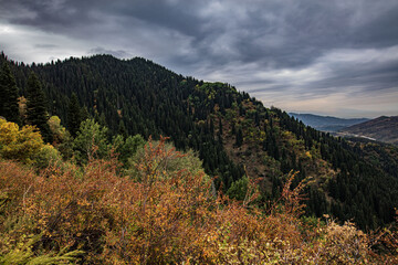 landscape with mountains