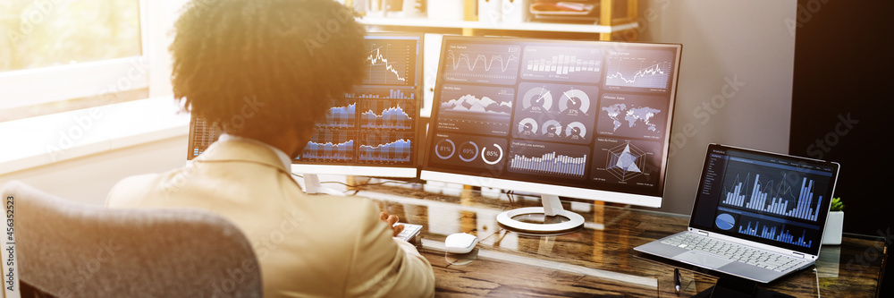 Aufkleber Business Data Analyst Using Computer