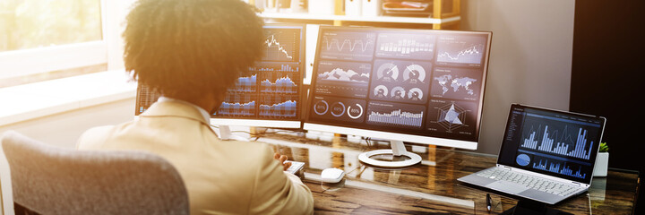 Business Data Analyst Using Computer