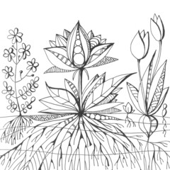 Floral drawing. Sketch with fantasy flowers, leaves and roots. Black and white illustration for coloring book.