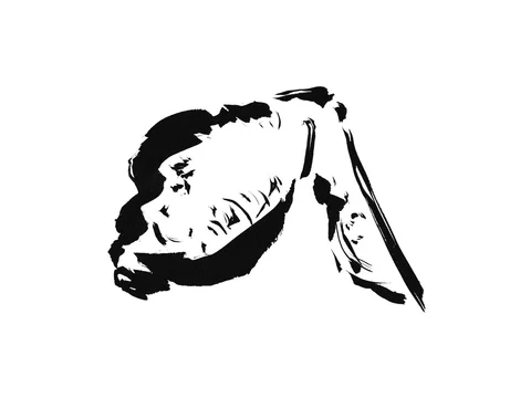 鶏肉の手羽先の手描きイラスト Stock Illustration Adobe Stock