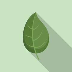 Basil leaf icon flat vector. Herb leaves