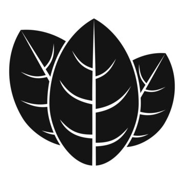 Cooking Basil Icon Simple Vector. Herb Leaf