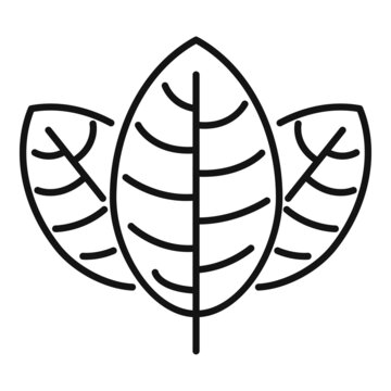 recommend clip art: Basil leaf icon outline vector. Herb leaves