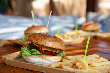 pulled sandwich with fries