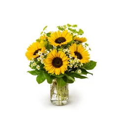 Schilderijen op glas bouquet of sunflowers in vase mason jar - yellow flower arrangement isolated on white background - autumn flowers - fall season © Joseph
