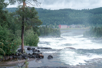 Storforsen, wild, huge waterfall on Pite River in Swedish arctic on a cloudy, rainy day of arctic...