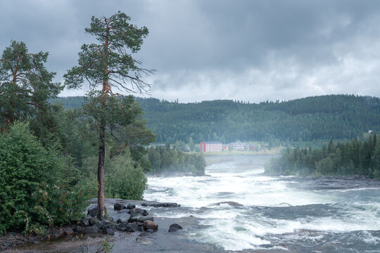 Storforsen, wild, huge waterfall on Pite River in Swedish arctic on a cloudy, rainy day of arctic summer. Norrbottens area, northwest of Alvsbyn. Wild nature of far north. Nature of Swedish Lapland
