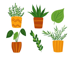 Houseplants clip art set isolated on white background. Hand drawn in flat style potted flowers collection. House plants design elements. 