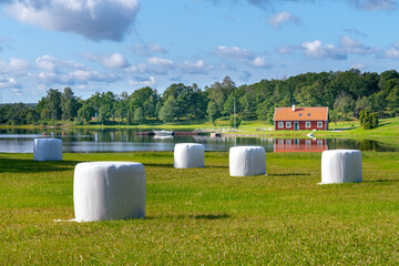 Typical red wooden house in countryside by the sea in nature of southern Sweden on a beautiful sunny summer day. White heystacks in front. Relaxing rural landscape. © Petr
