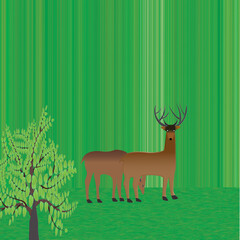 deer couple on green background,3d illustration