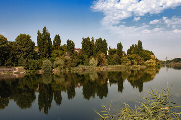 The sunny summer scene of the city park. View of the trees near the shore of the city lake. Background of the concept of landscaping of the metropolis.