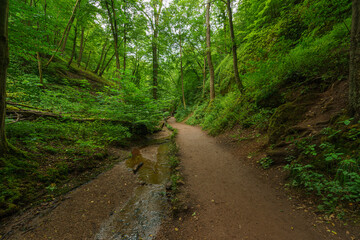 Obraz premium Drachenschlucht