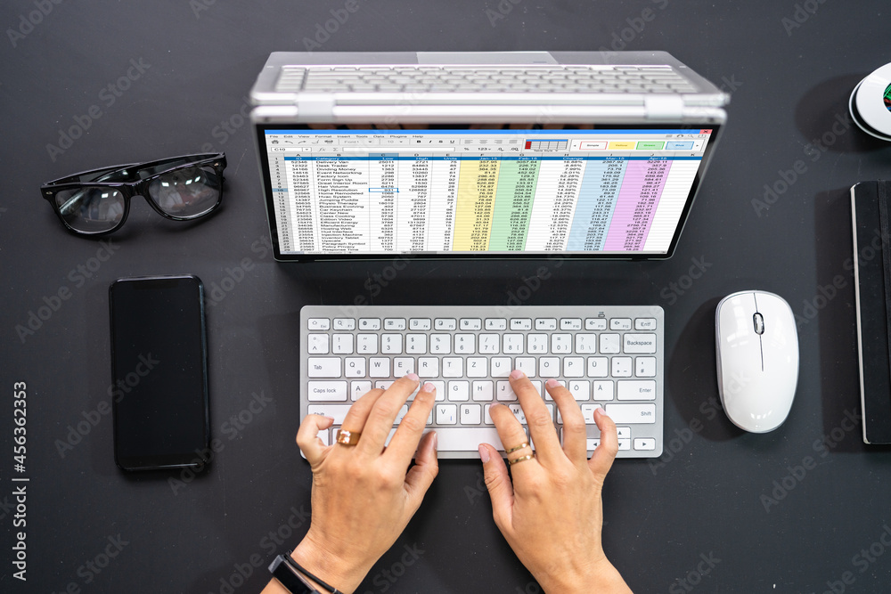 Poster Electronic Spreadsheet Analyst Or Auditor Using Software