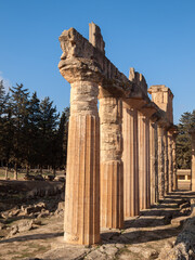 Columns from the Zeus Temple in Cyrene