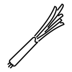 Chinese chive icon outline vector. Onion garlic