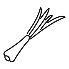 Leaf chive icon outline vector. Fresh onion