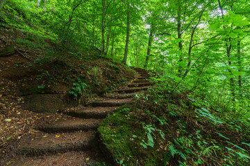 Drachenschlucht