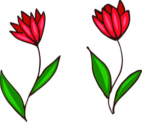 Vector two flowers green leaves and red buds. For print.