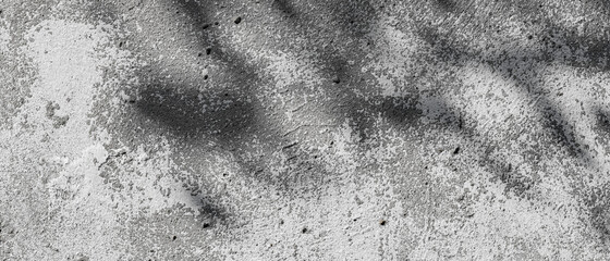 Tree shade over rough concrete wall. Shadow of a tree branch on a whitewashed cement wall. Texture of gray concrete wall. Copy space