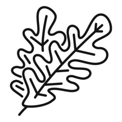 Rocket rucola icon outline vector. Arugula salad