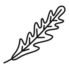 Obraz premium Ruccola salad icon outline vector. Arugula leaf