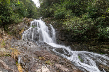 There are small waterfalls in the primeval forest. The water is very clear