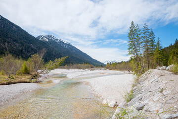 breeding area for rarely birds, Obere Isar river gravel banks