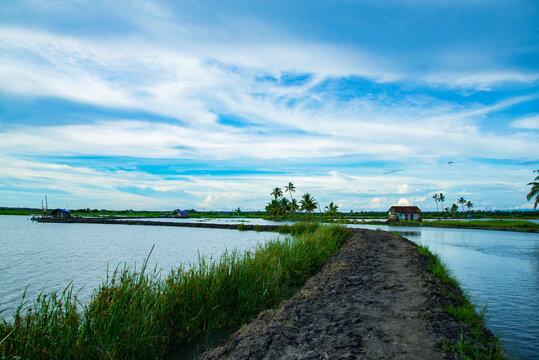 Small huts and muddy pathways between backwaters, Kerala backwaters photography during day time Kadamakkudy Kerala