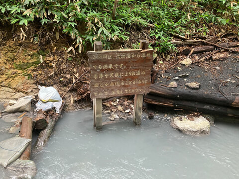 bench in the park
