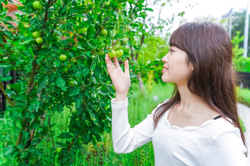 果物狩り・収穫