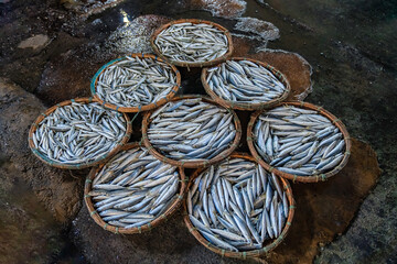 Quy Nhon fish market, Binh Dinh, Vietnam