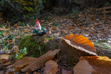 gnome lying on a rock that has moss surrounded by autumnal leaves in the Alpujarra