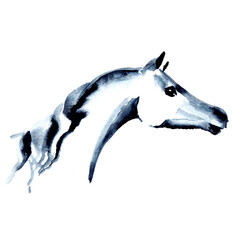 Arabian horse head. Watercolor or ink hand painting horse snout. Beautiful hand drawing Japanese style stallion. Equestrian silhouette illustration on white. Equine art by artistic brush stroke 