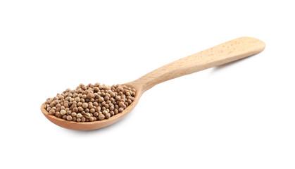 Dried coriander seeds with wooden spoon isolated on white