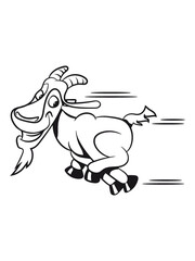 Ziege rennen laufen 